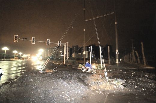 钢丝是这一惨剧的祸首。 南国早报记者 赵敏摄 钢丝是这一惨剧的祸首。 南国早报记者 赵敏摄